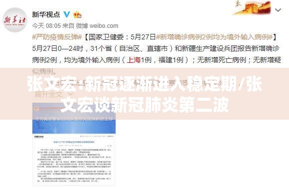张文宏:新冠逐渐进入稳定期/张文宏谈新冠肺炎第二波