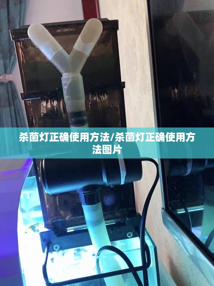 杀菌灯正确使用方法/杀菌灯正确使用方法图片