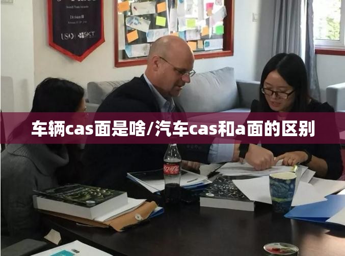 车辆cas面是啥/汽车cas和a面的区别