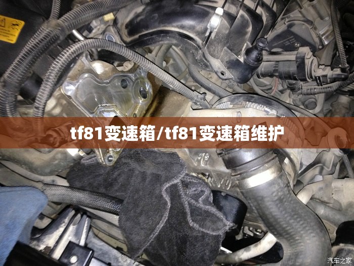 tf81变速箱/tf81变速箱维护