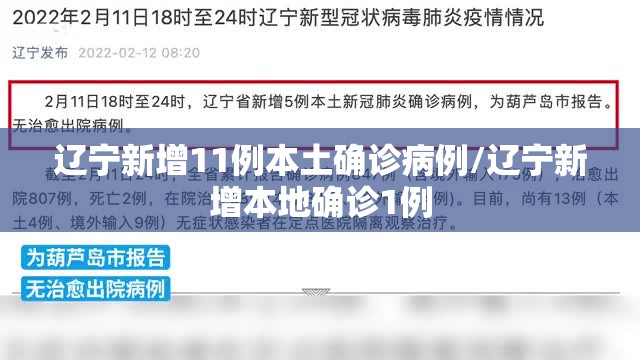 辽宁新增11例本土确诊病例/辽宁新增本地确诊1例