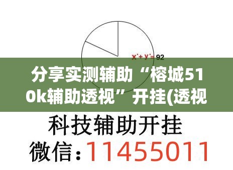 分享实测辅助“榕城510k辅助透视	”开挂(透视)辅助教程