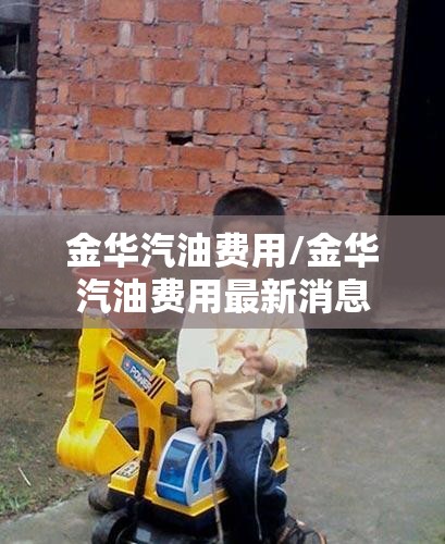 金华汽油费用/金华汽油费用最新消息