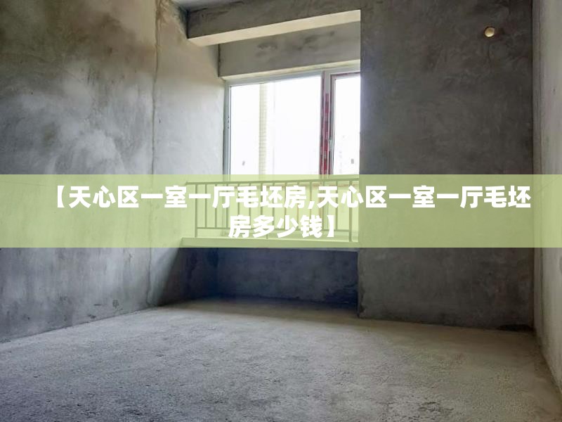 【天心区一室一厅毛坯房,天心区一室一厅毛坯房多少钱】