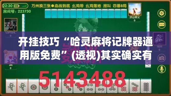 开挂技巧“哈灵麻将记牌器通用版免费”(透视)其实确实有挂