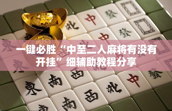 一键必胜“中至二人麻将有没有开挂”细辅助教程分享