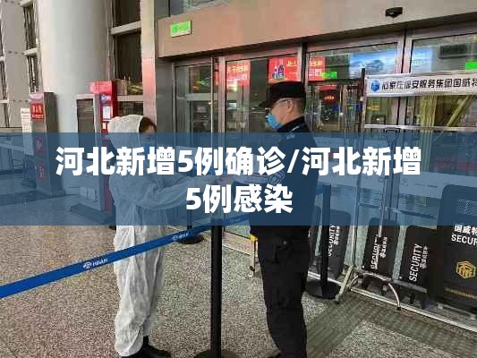 河北新增5例确诊/河北新增5例感染