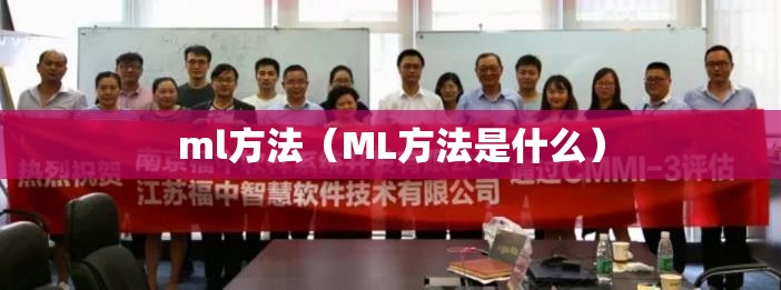 ml方法（ML方法是什么）