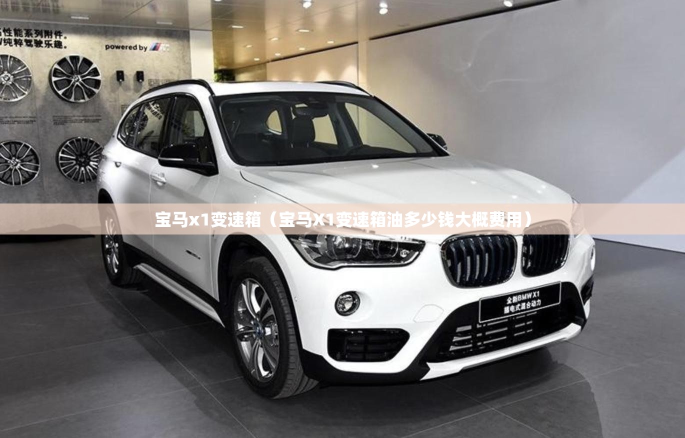 宝马x1变速箱(宝马X1变速箱油多少钱大概费用) 宝马x1变速箱(宝马X1变速箱油多少钱大概费用)