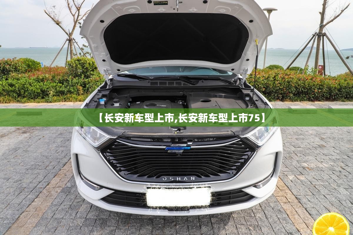 【长安新车型上市,长安新车型上市75】