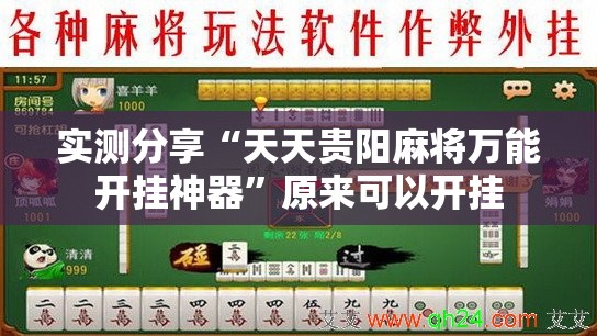 实测分享“天天贵阳麻将万能开挂神器	”原来可以开挂