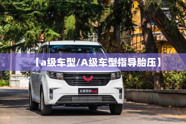 【a级车型/A级车型指导胎压】