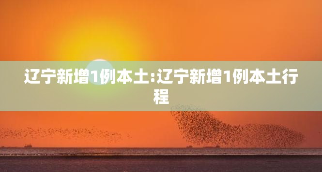 辽宁新增1例本土:辽宁新增1例本土行程