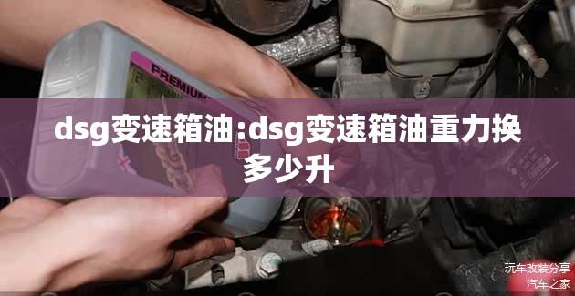 dsg变速箱油:dsg变速箱油重力换多少升