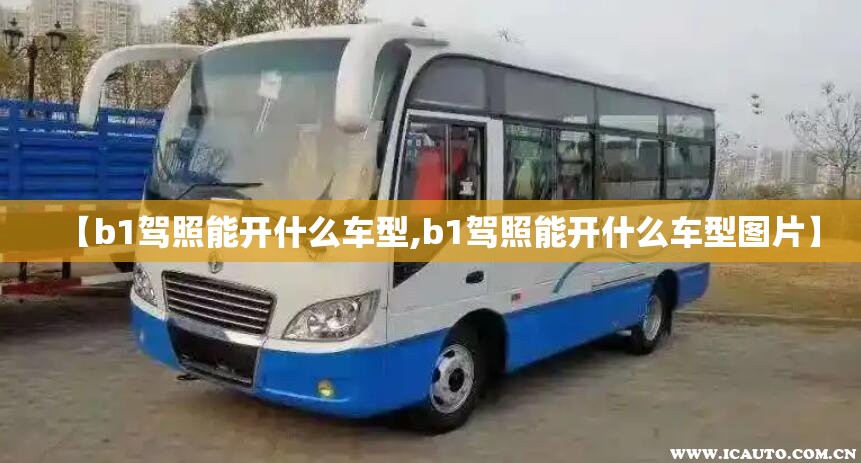【b1驾照能开什么车型,b1驾照能开什么车型图片】