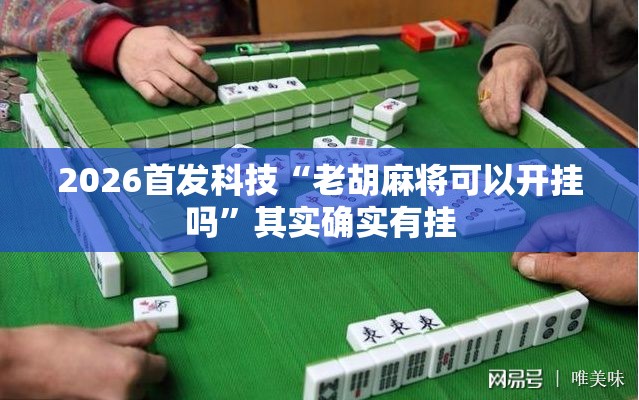 2026首发科技“老胡麻将可以开挂吗”其实确实有挂
