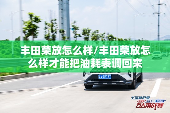 丰田荣放怎么样/丰田荣放怎么样才能把油耗表调回来