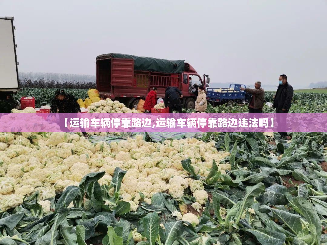 【运输车辆停靠路边,运输车辆停靠路边违法吗】