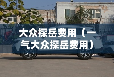 大众探岳费用（一气大众探岳费用）