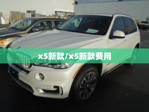 x5新款/x5新款费用