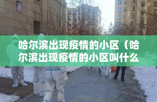 哈尔滨出现疫情的小区（哈尔滨出现疫情的小区叫什么）