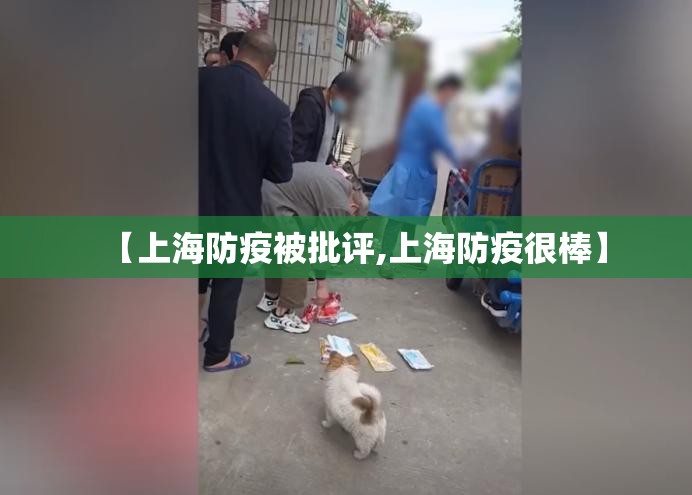 【上海防疫被批评,上海防疫很棒】