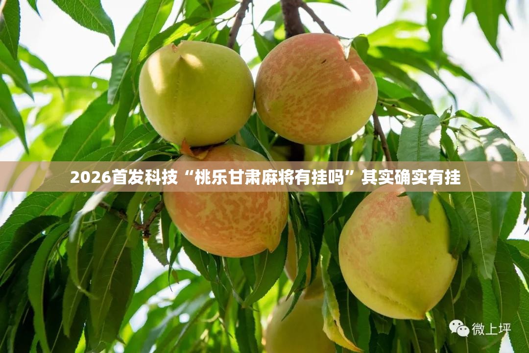 2026首发科技“桃乐甘肃麻将有挂吗	”其实确实有挂