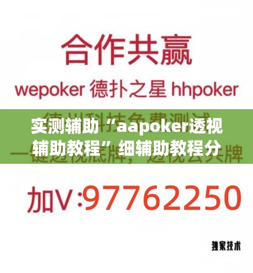 实测辅助“aapoker透视辅助教程”细辅助教程分享