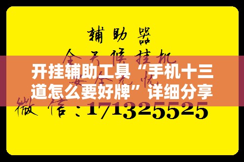 开挂辅助工具“手机十三道怎么要好牌”详细分享装挂步骤