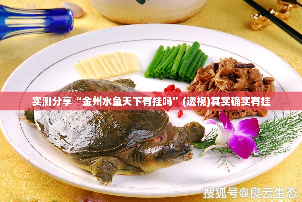 实测分享“金州水鱼天下有挂吗”(透视)其实确实有挂