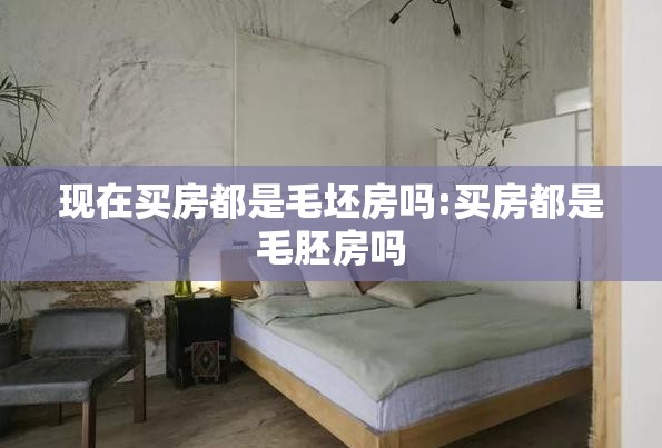 现在买房都是毛坯房吗:买房都是毛胚房吗