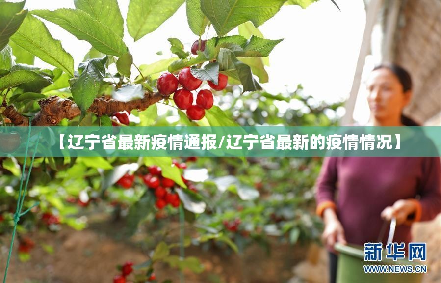 【辽宁省最新疫情通报/辽宁省最新的疫情情况】