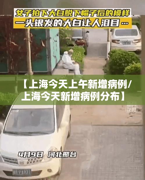 【上海今天上午新增病例/上海今天新增病例分布】