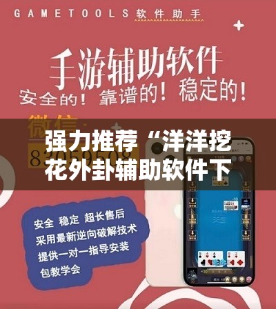 强力推荐“洋洋挖花外卦辅助软件下载”详细外挂透视辅助软件教程