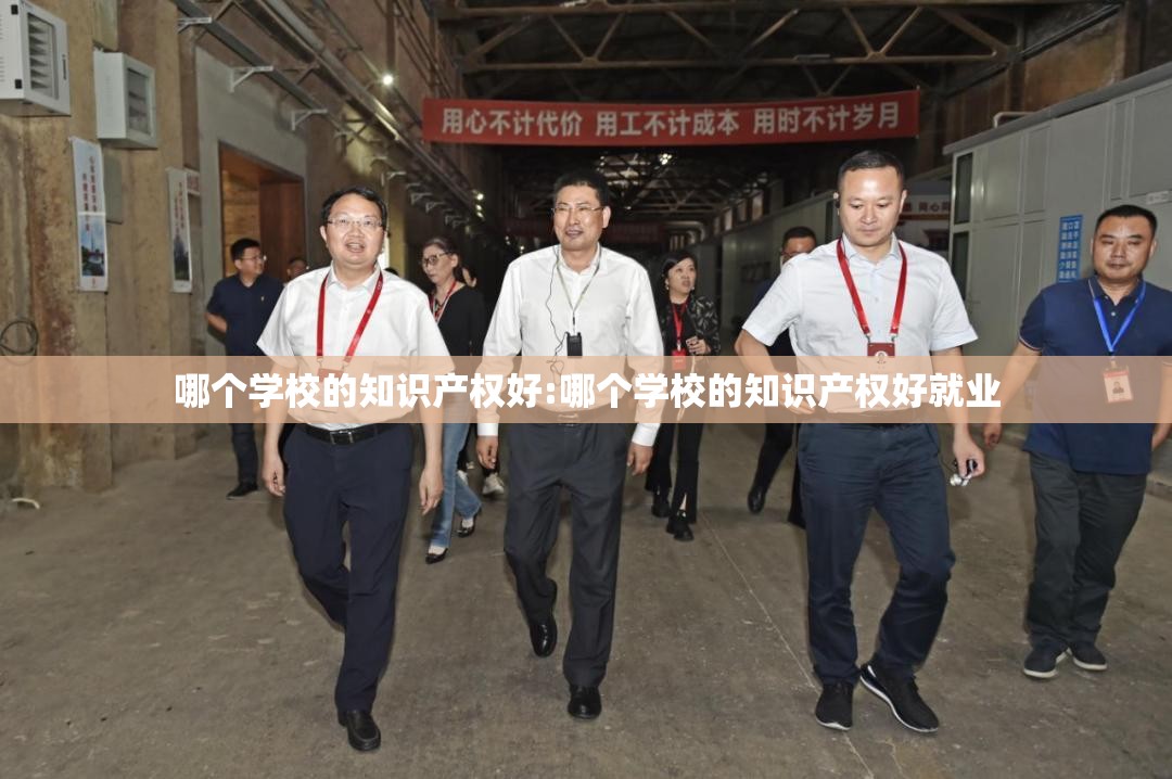 哪个学校的知识产权好:哪个学校的知识产权好就业