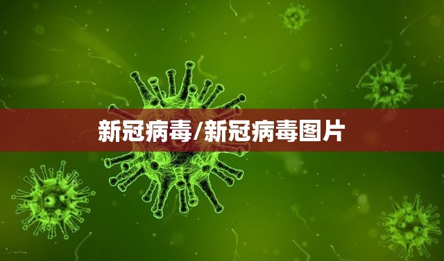 新冠病毒/新冠病毒图片
