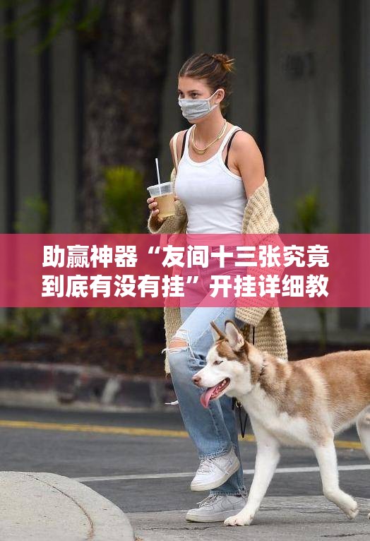 助赢神器“友间十三张究竟到底有没有挂”开挂详细教程