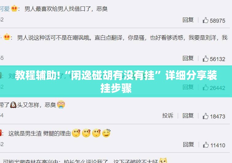 教程辅助!“闲逸碰胡有没有挂”详细分享装挂步骤