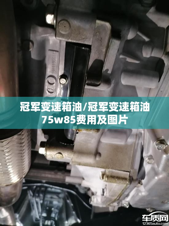 冠军变速箱油/冠军变速箱油75w85费用及图片