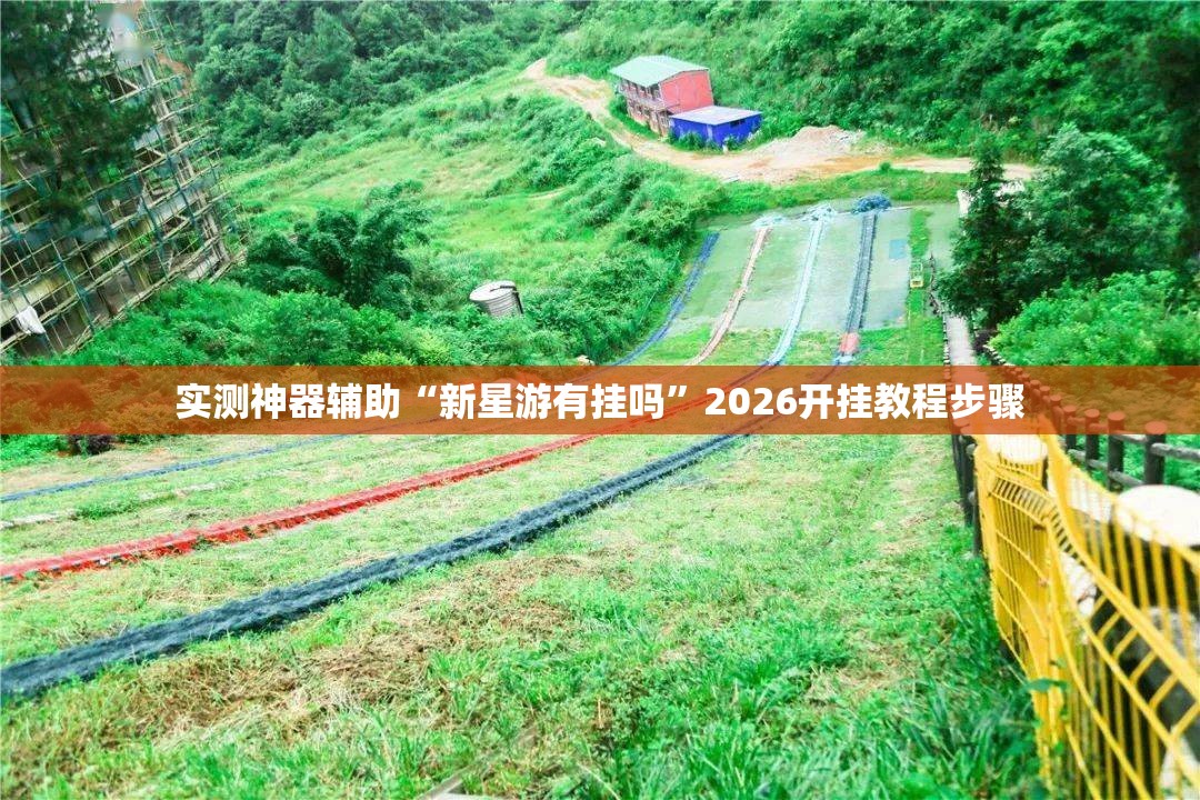 实测神器辅助“新星游有挂吗”2026开挂教程步骤