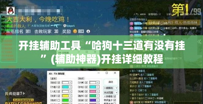 开挂辅助工具“哈狗十三道有没有挂”(辅助神器)开挂详细教程