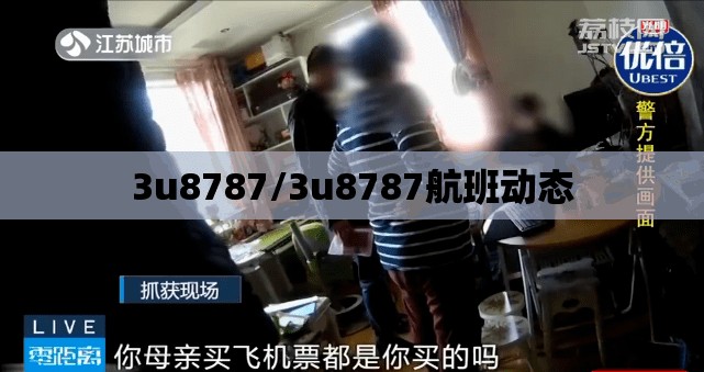 3u8787/3u8787航班动态