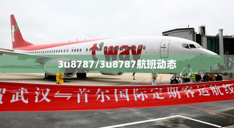 3u8787/3u8787航班动态