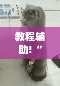 教程辅助!“微信打大a万能开挂神器”(辅助神器)开挂详细教程