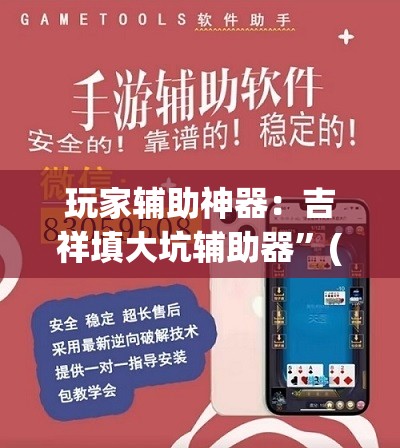 玩家辅助神器：吉祥填大坑辅助器”(透视)其实确实有挂