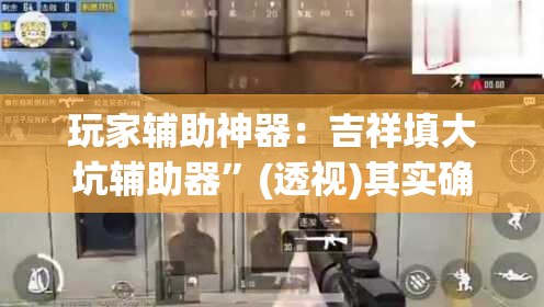 玩家辅助神器：吉祥填大坑辅助器	”(透视)其实确实有挂
