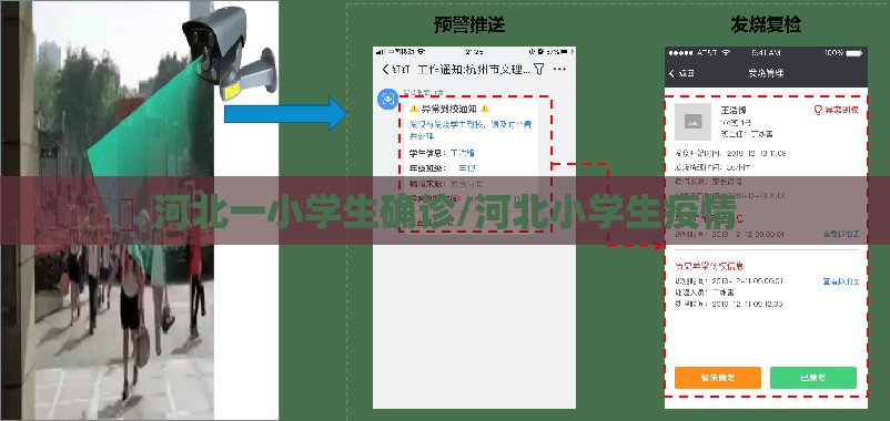 河北一小学生确诊/河北小学生疫情 河北一小学生确诊/河北小学生疫情