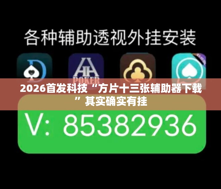 2026首发科技“方片十三张辅助器下载”其实确实有挂