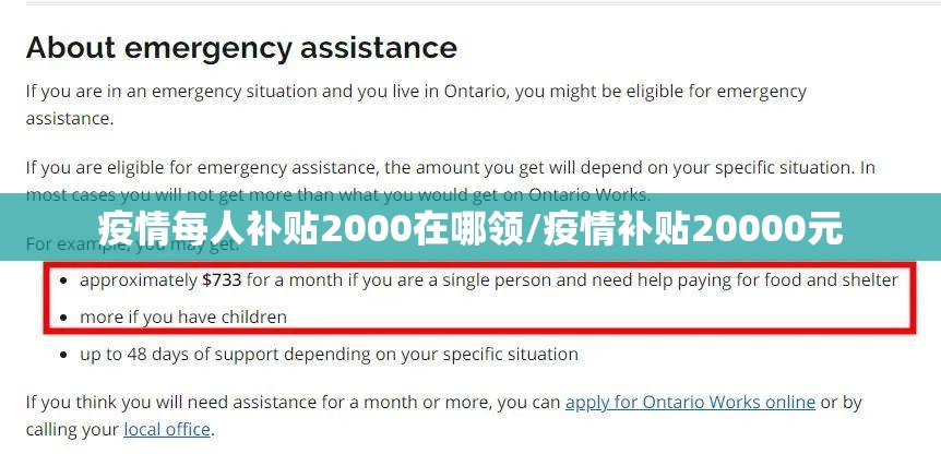 疫情每人补贴2000在哪领/疫情补贴20000元