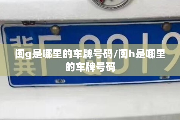 闽g是哪里的车牌号码/闽h是哪里的车牌号码